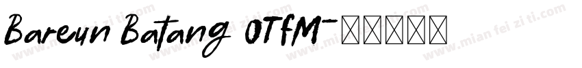 Bareun Batang OTFM字体转换